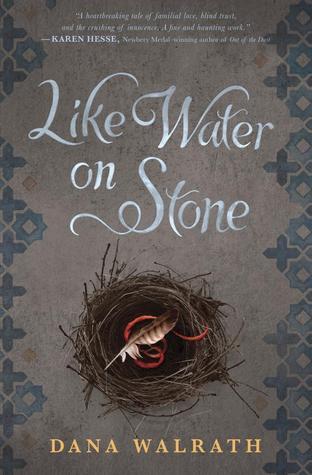 Like Water on Stone book cover