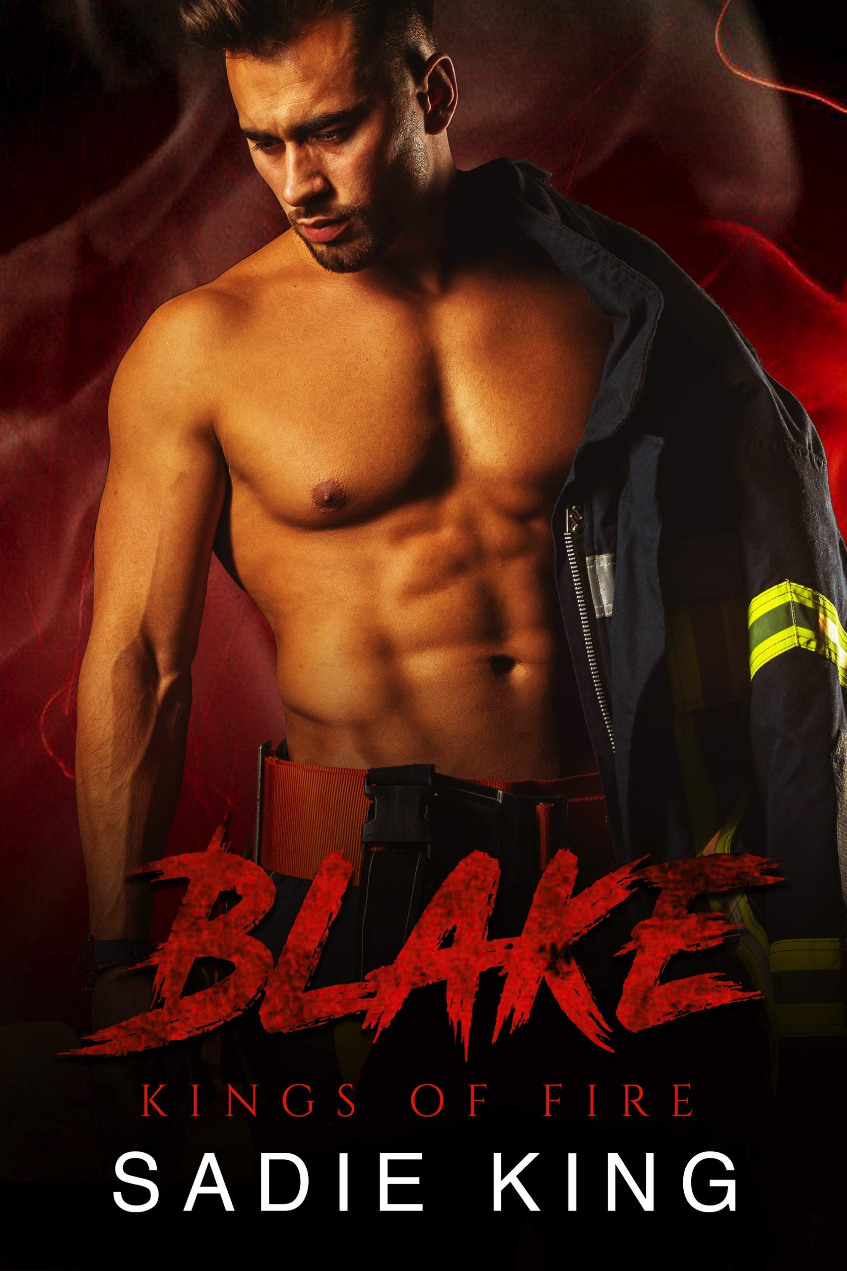 Kings of Fire book cover 1