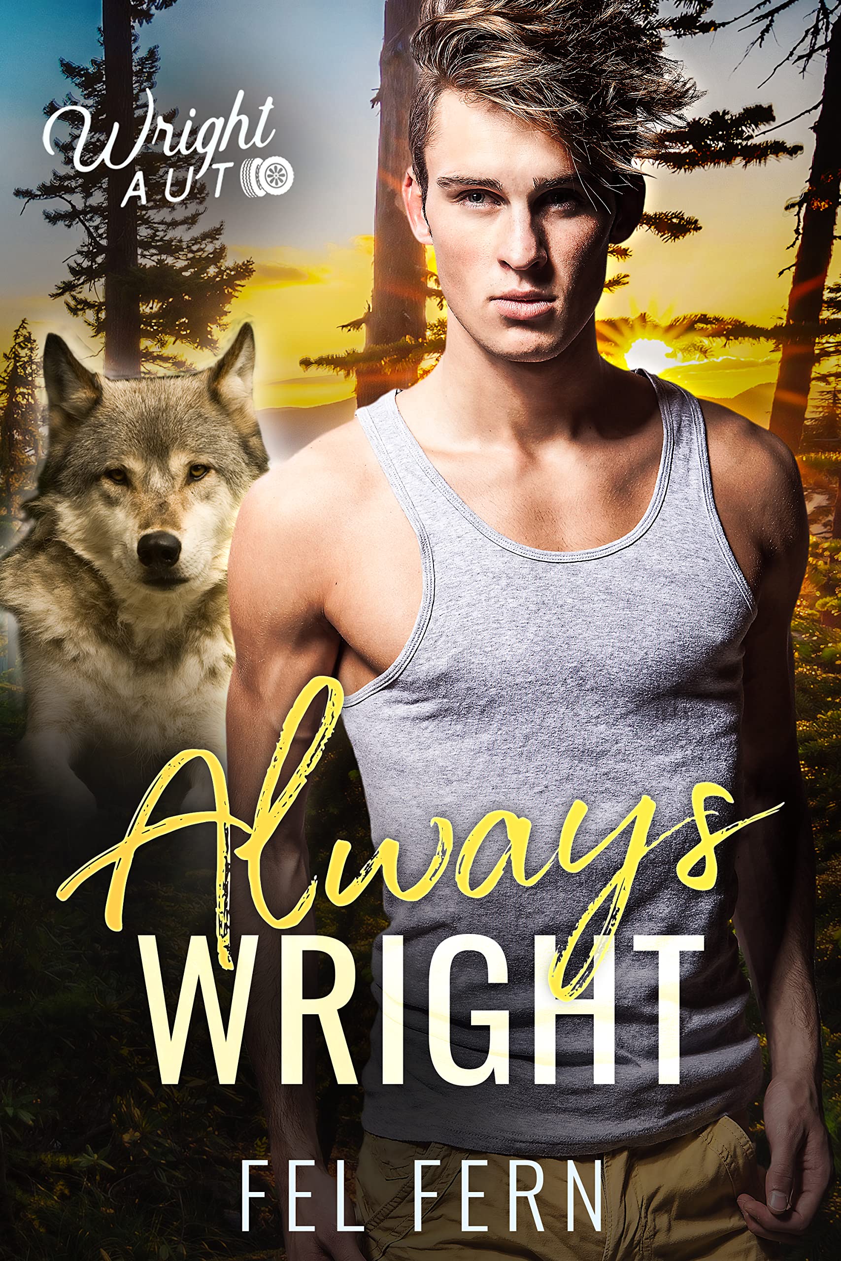 Wright Auto book cover 2