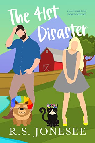 The 41st Disaster book cover
