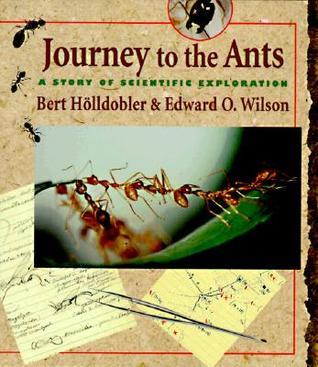 Journey to the Ants book cover