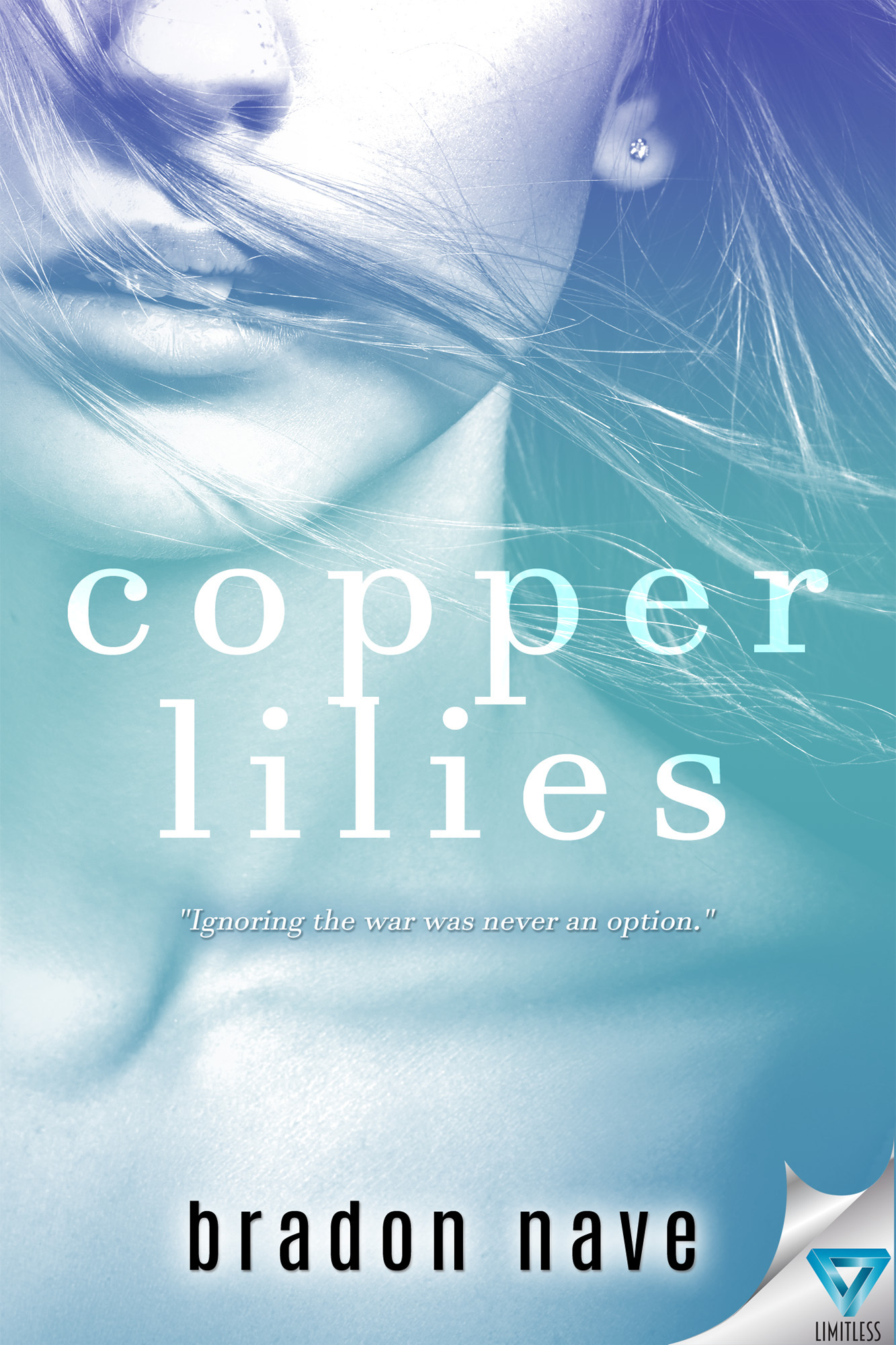 Copper Lilies book cover