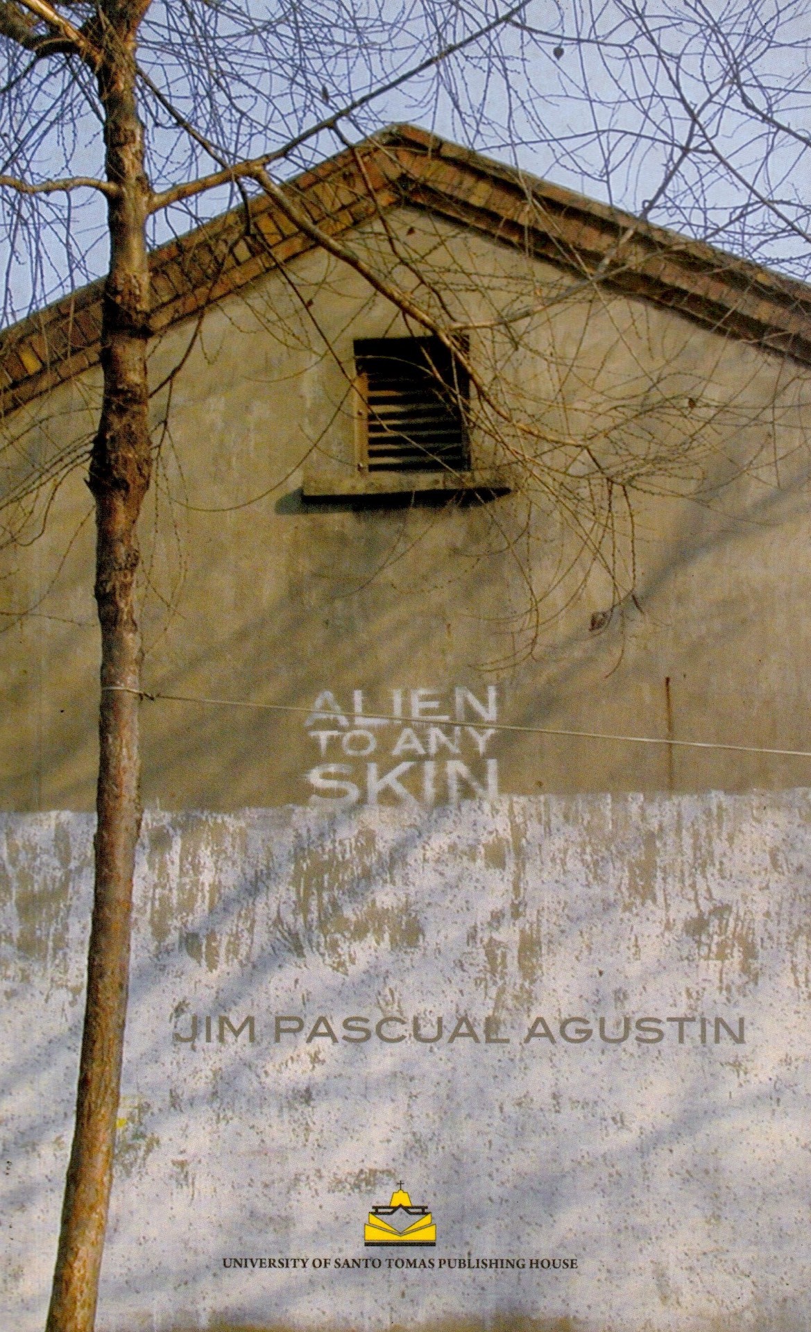 Alien to Any Skin book cover
