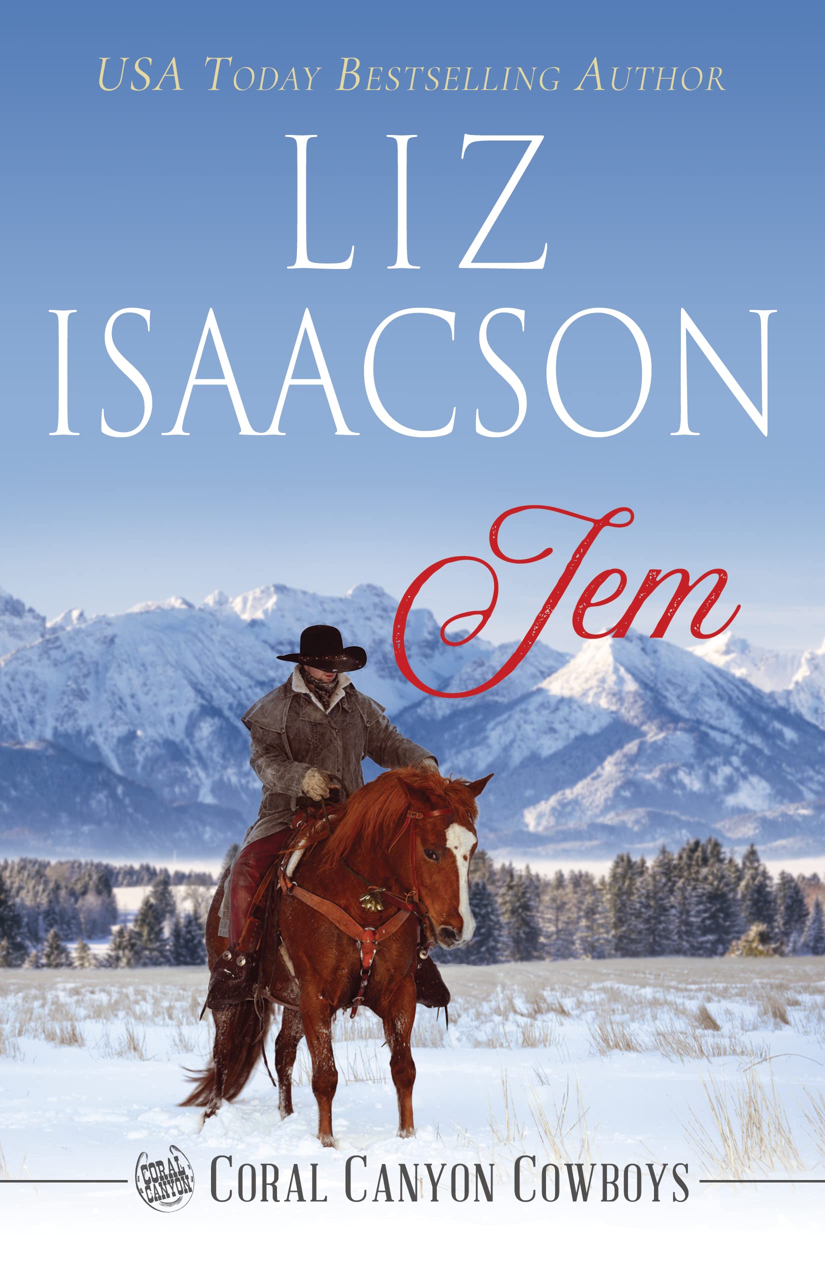 Jem book cover