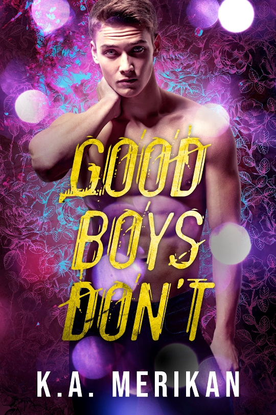 Good Boys Don't book cover