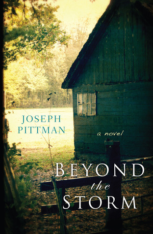 Beyond the Storm book cover
