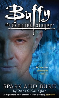 Spark and Burn book cover