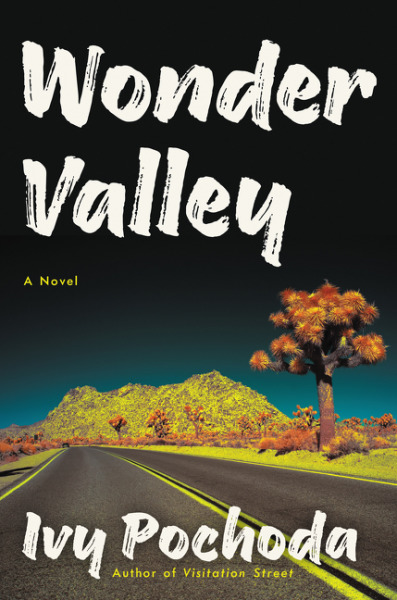 Wonder Valley book cover