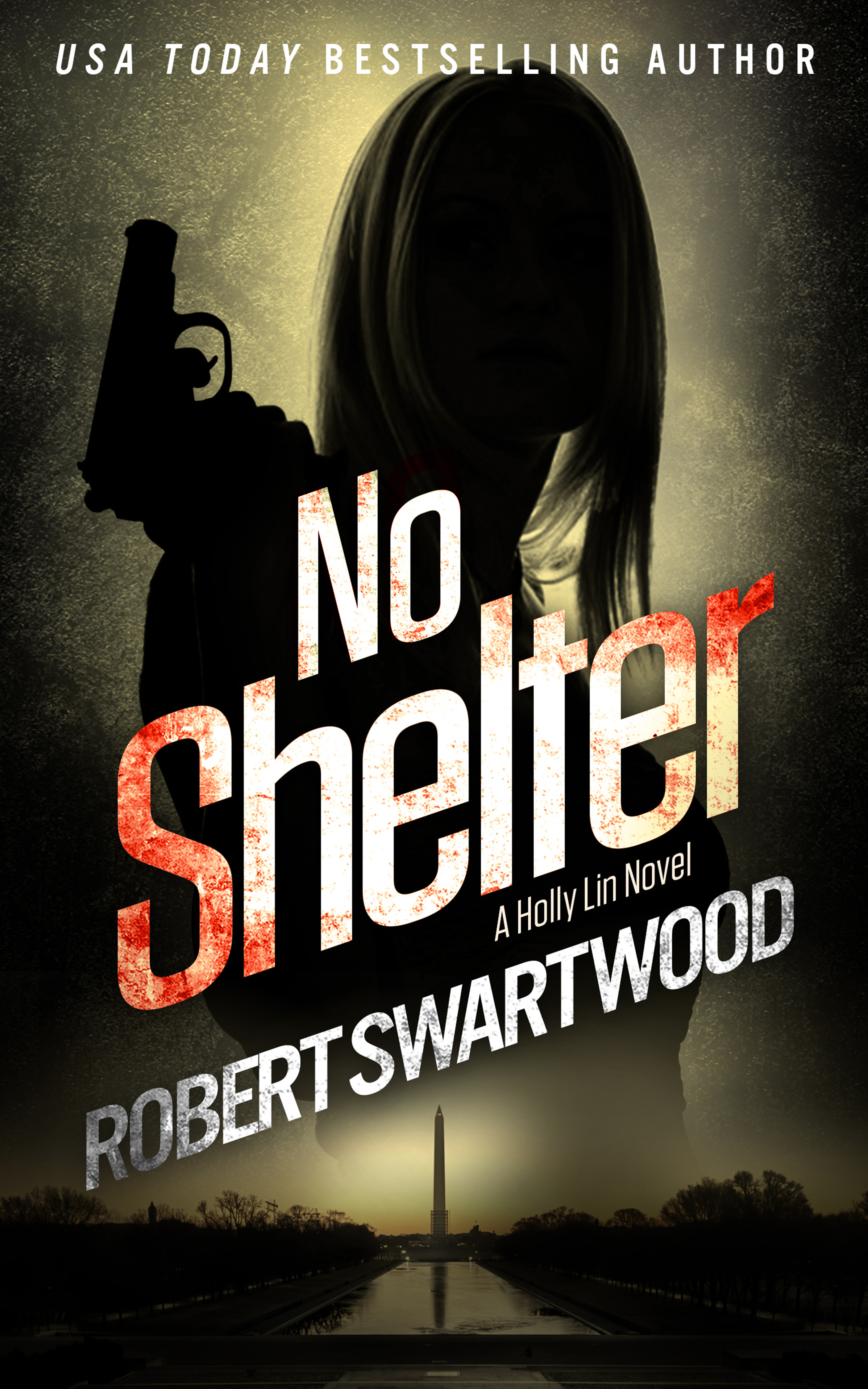 Holly Lin/Nova Bartkowski Thrillers book cover 1