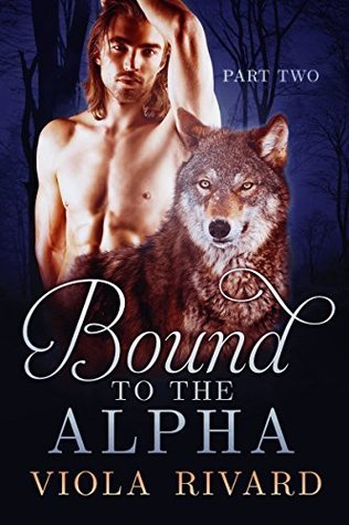 Bound book cover 2