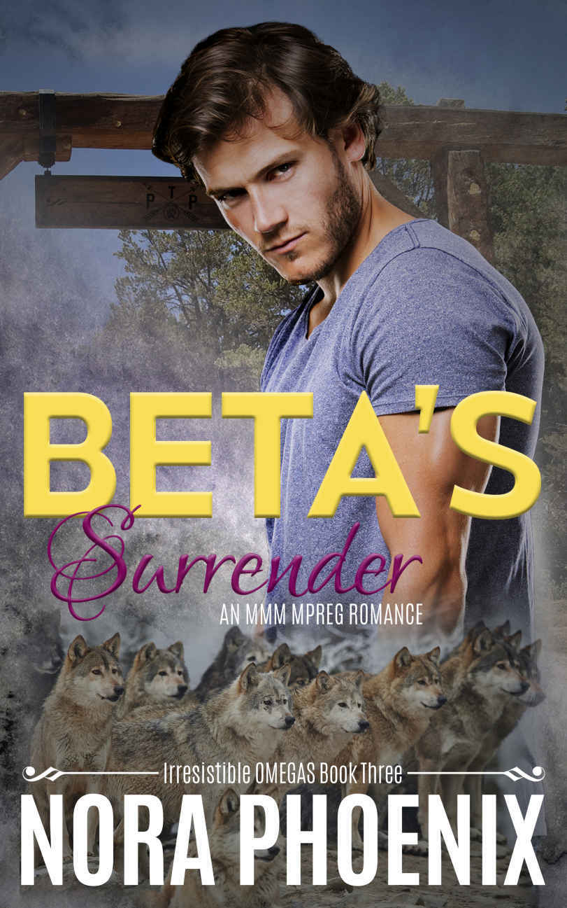 Irresistible Omegas book cover 3