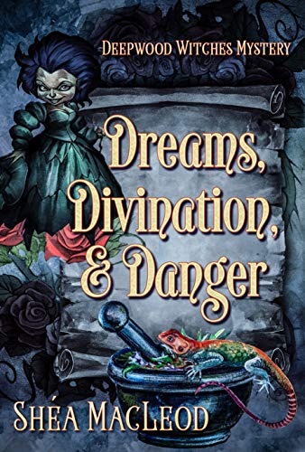 Dreams, Divination, and Danger book cover