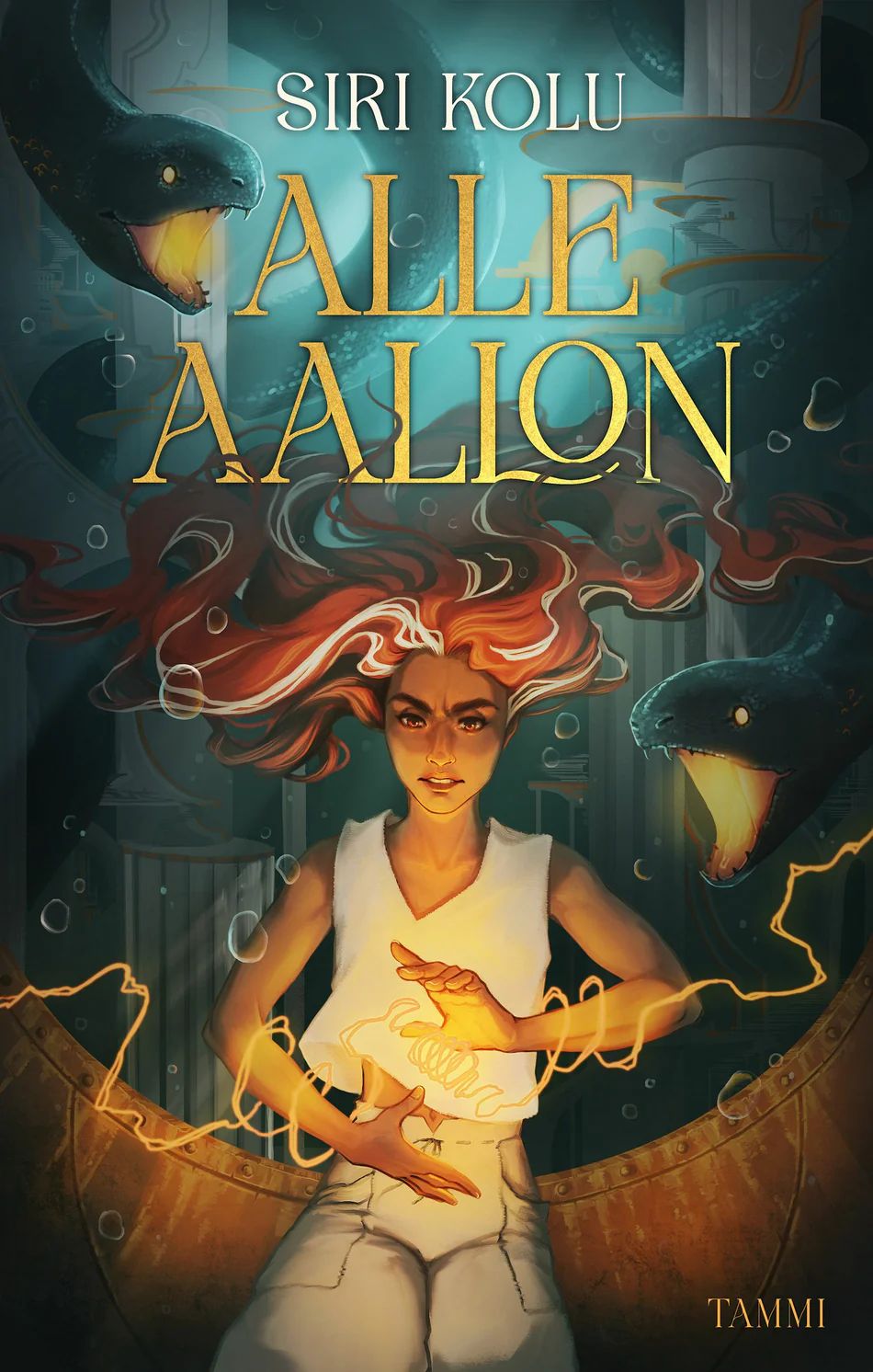 Alle aallon book cover