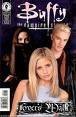 Buffy The Vampire Slayer book cover