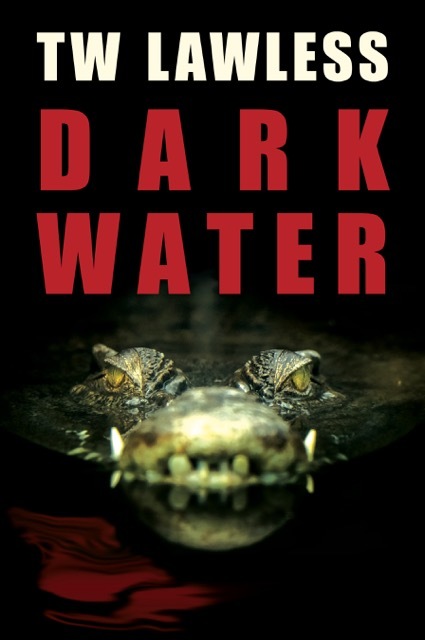Dark Water book cover
