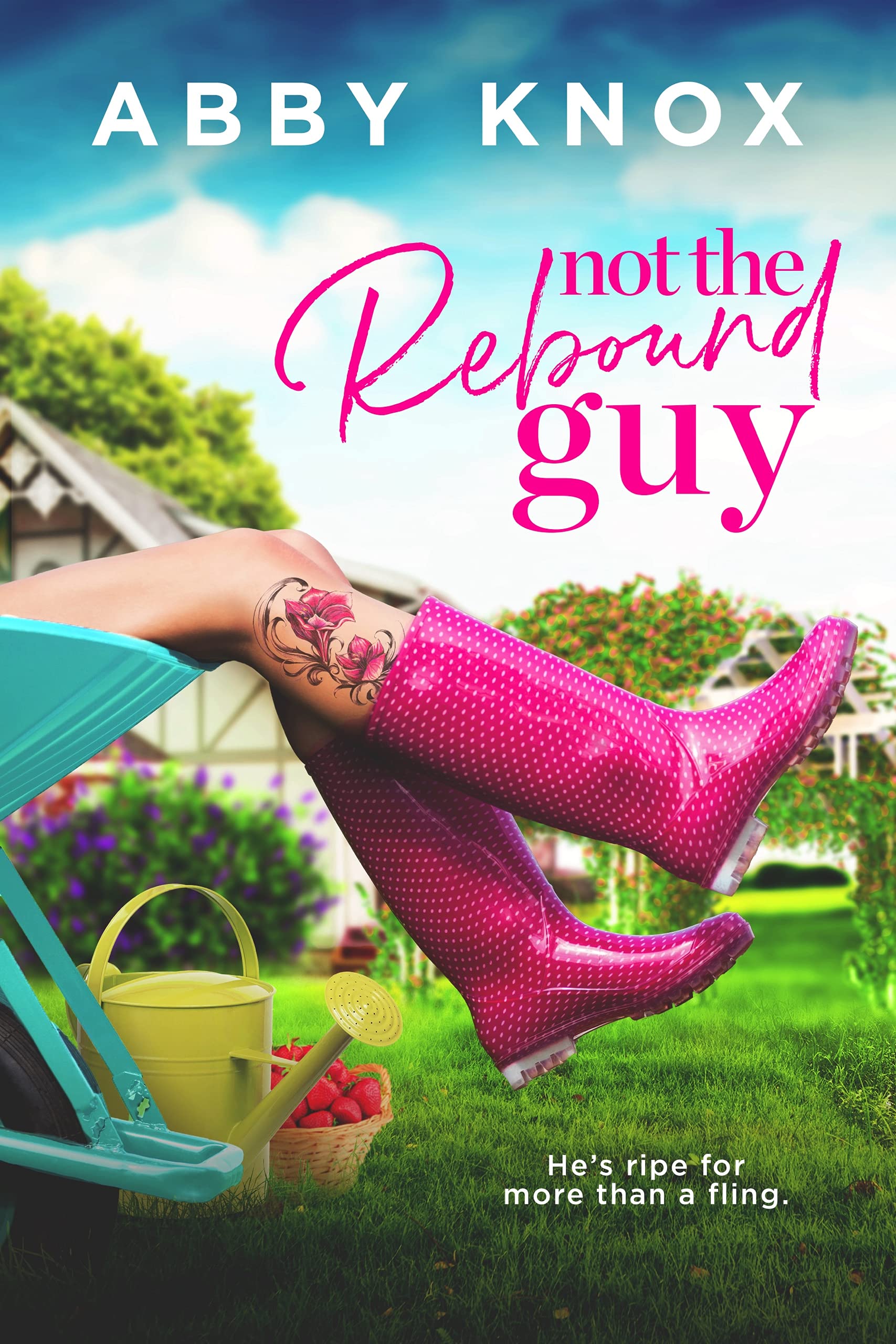 Not the Rebound Guy book cover