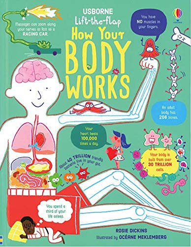 How Your Body Works book cover