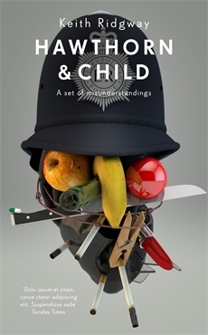 Hawthorn & Child book cover