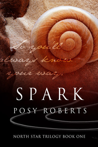 North Star book cover 1