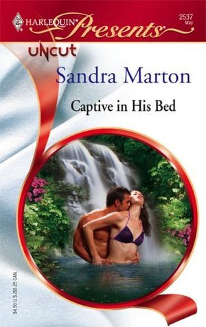 Knight Brothers book cover 2