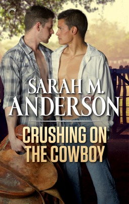 Rodeo Dreamers book cover 3