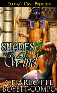 Shades of the Wind book cover