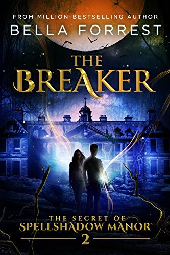 The Breaker book cover