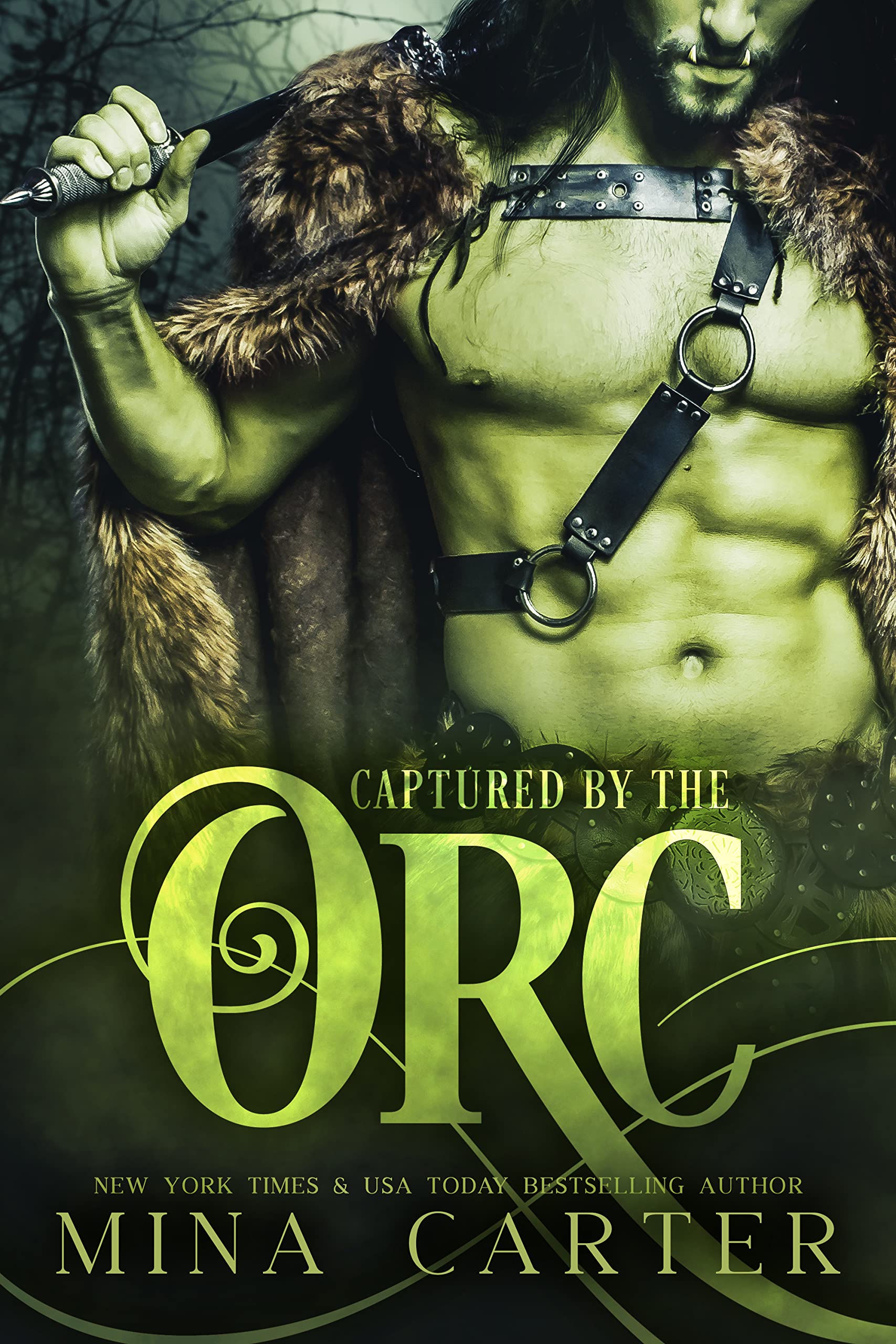 Mist-Rift Monster Romance book cover 1