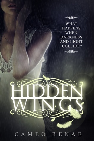 Hidden Wings book cover 1