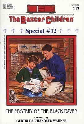 The Mystery of the Black Raven book cover