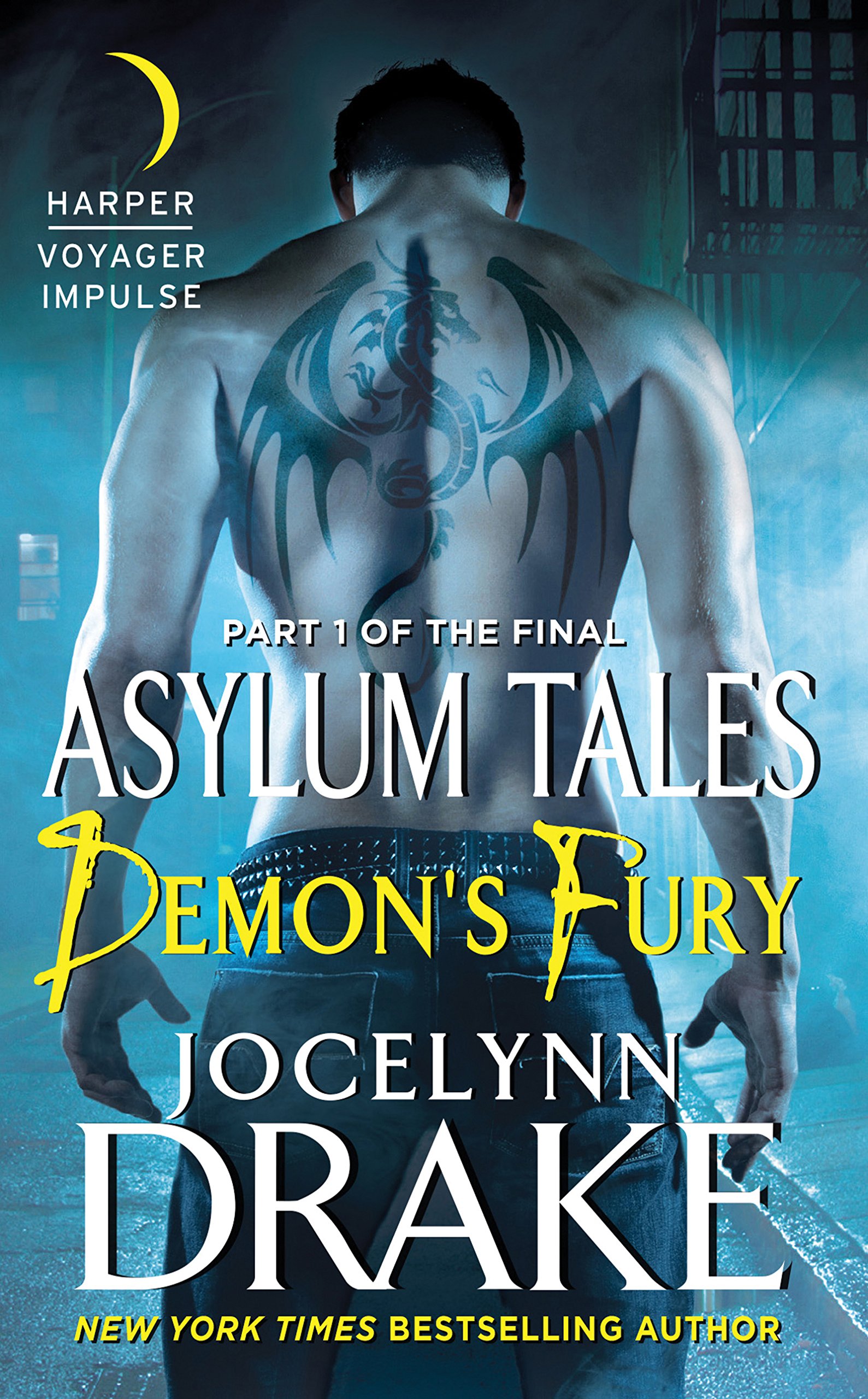 Demon's Fury book cover