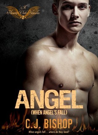 Angel book cover 2