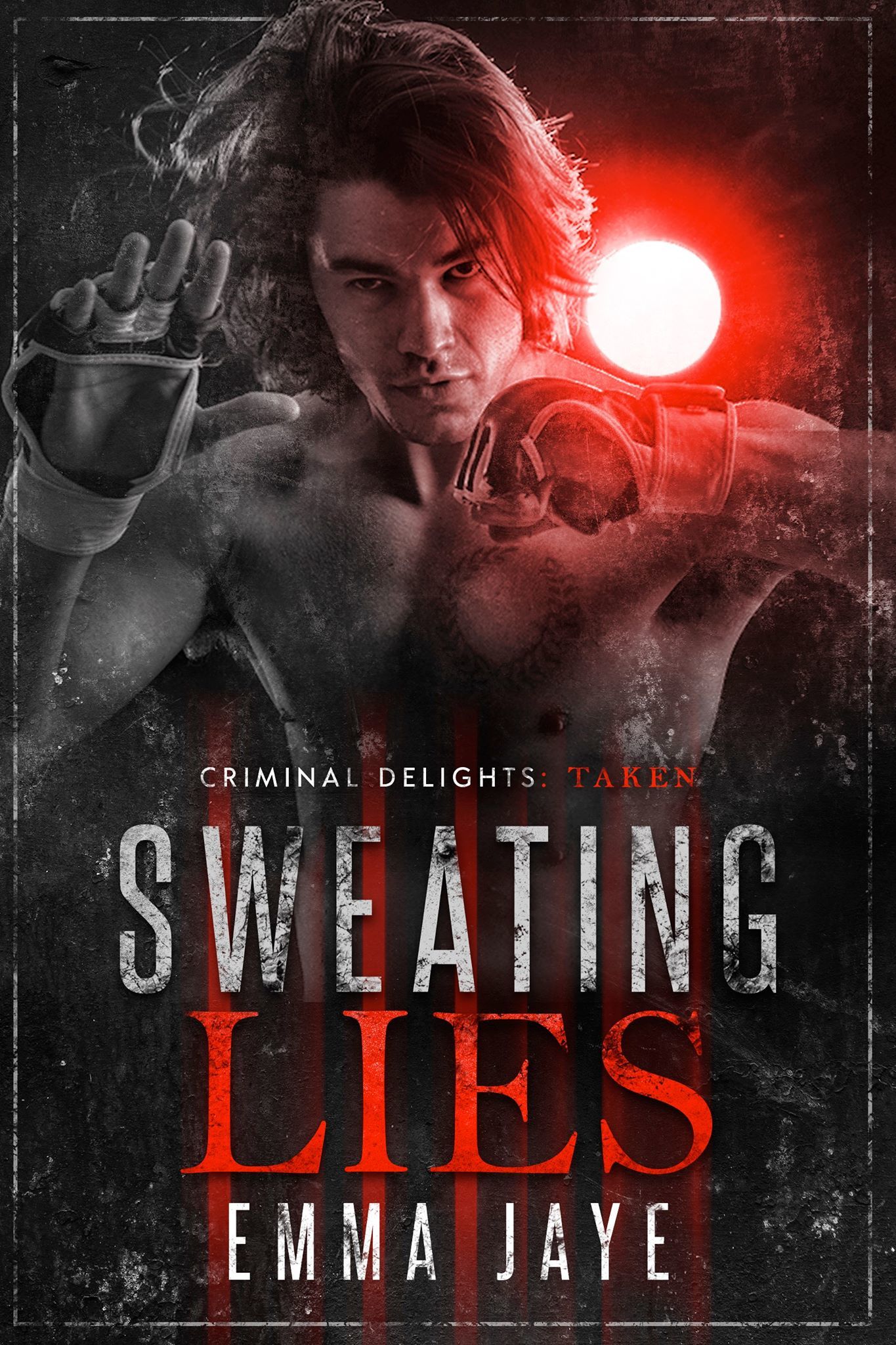 Lies book cover 1