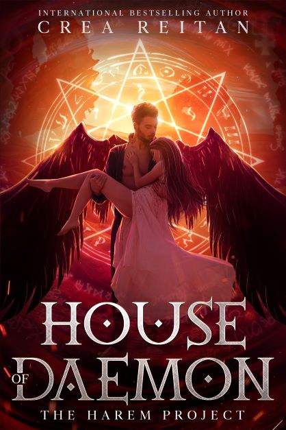 The Harem Project book cover 1
