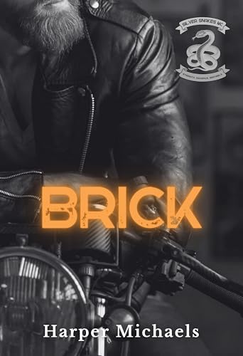 Brick book cover