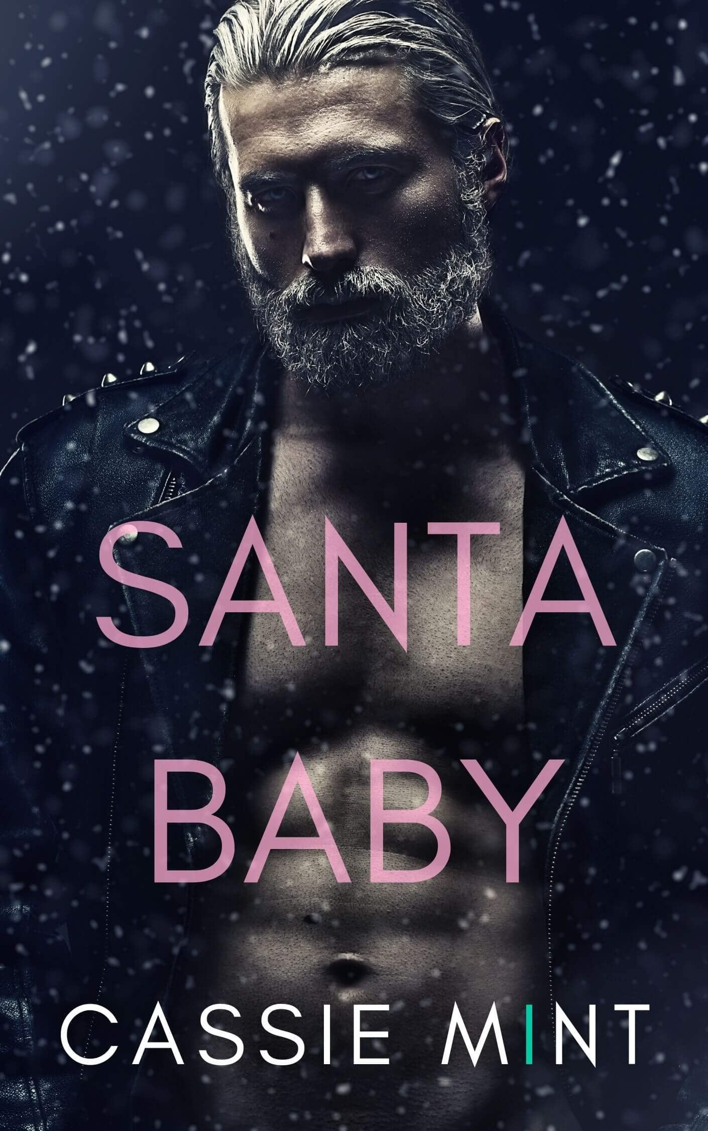 Santa Baby book cover