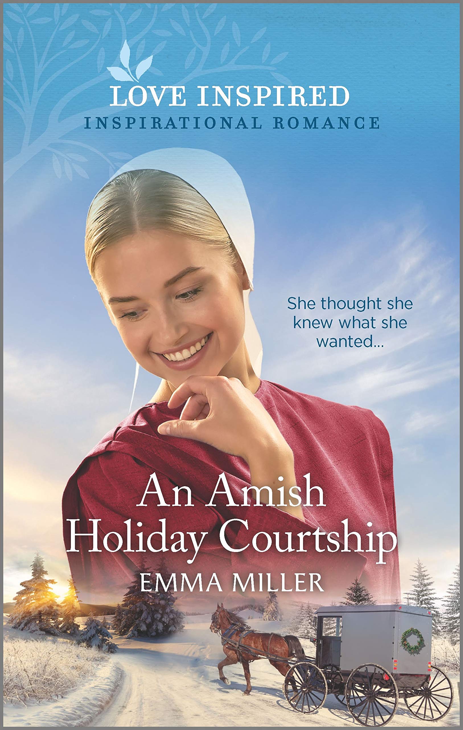 An Amish Holiday Courtship book cover