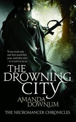 The Necromancer Chronicles book cover 1