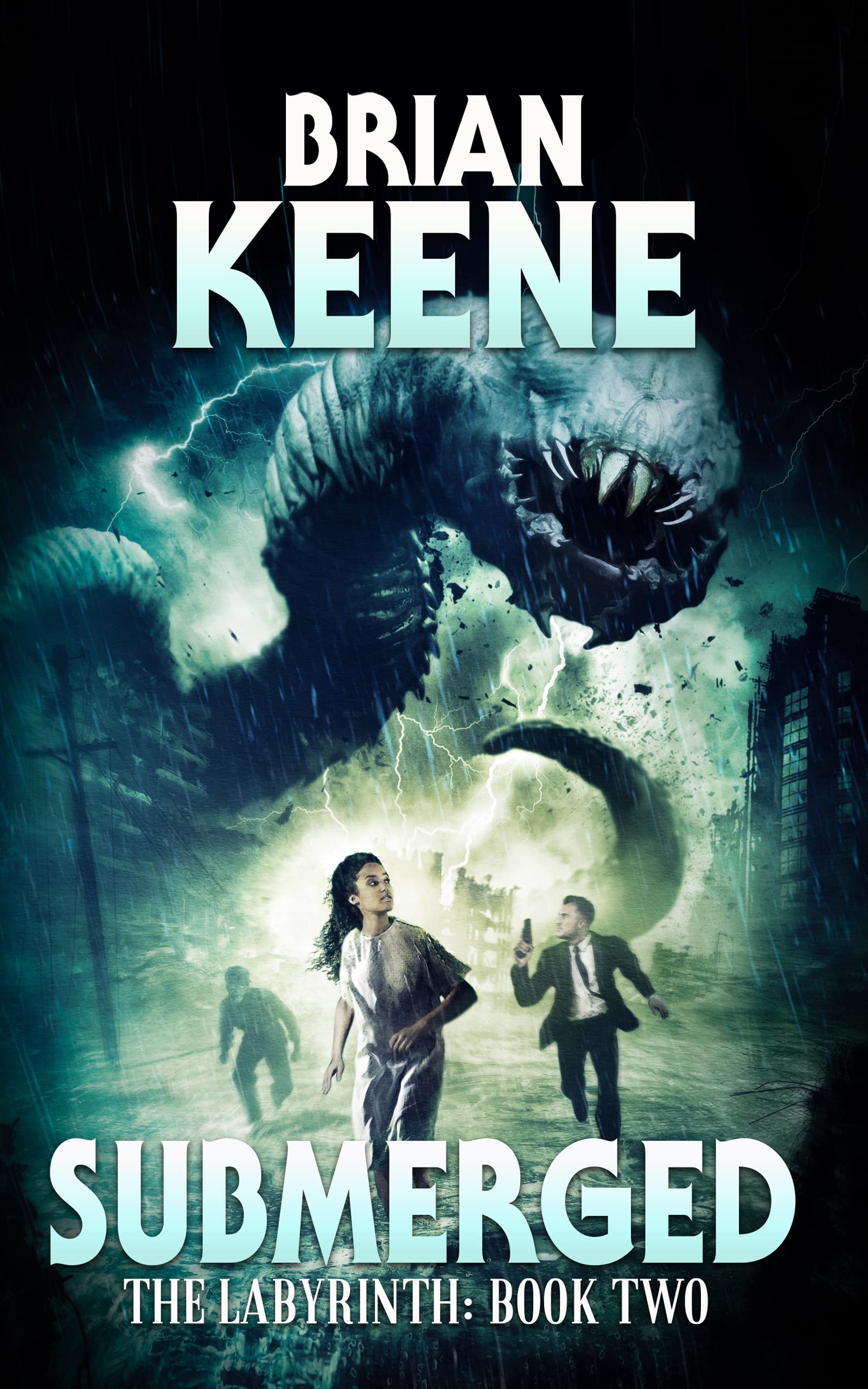 The Labyrinth book cover 2