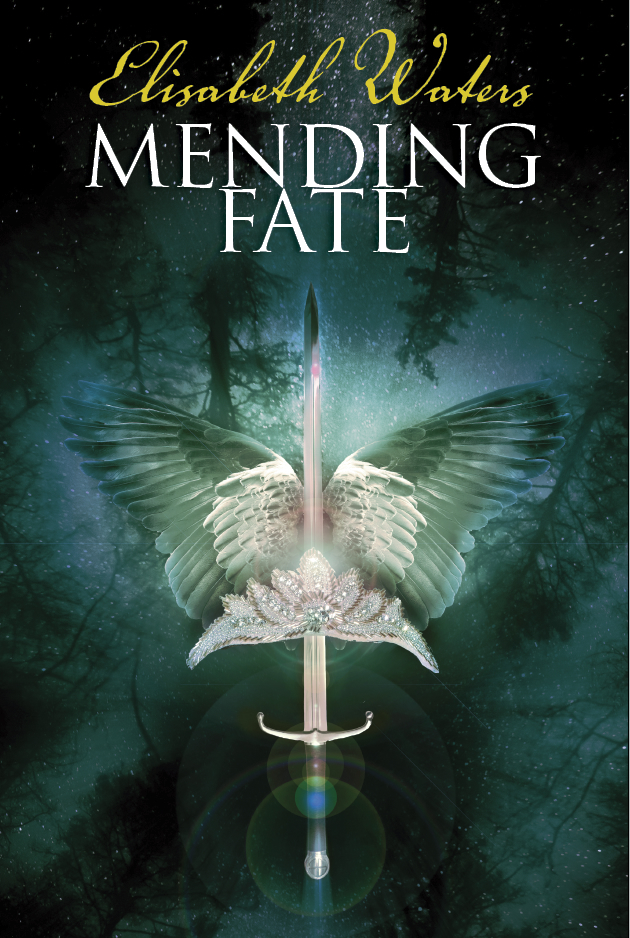 Fate book cover 2