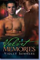 Velvet Memories book cover