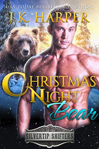 Christmas Night Bear book cover