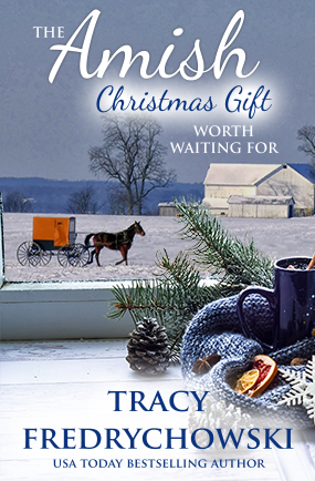 The Amish Christmas Gift Worth Waiting For book cover