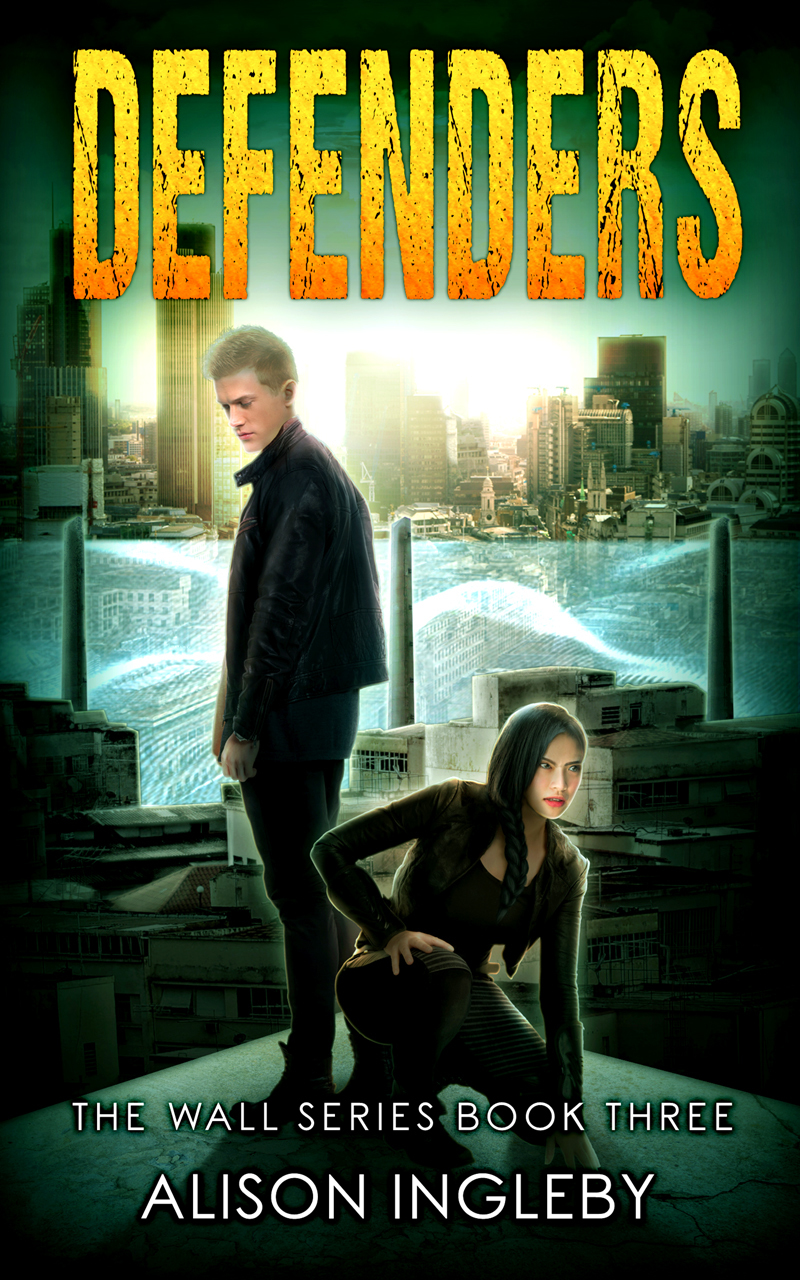 The Wall Series book cover 3
