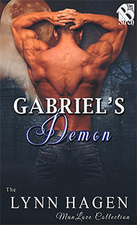 Gabriel's Demon book cover
