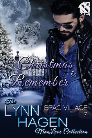 A Christmas to Remember book cover