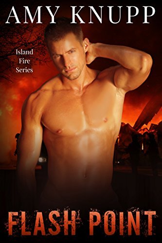 Flash Point book cover
