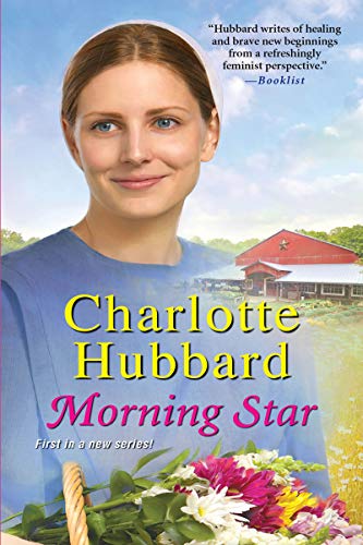 Maidels of Morning Star book cover 1