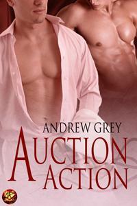 Auction Action book cover