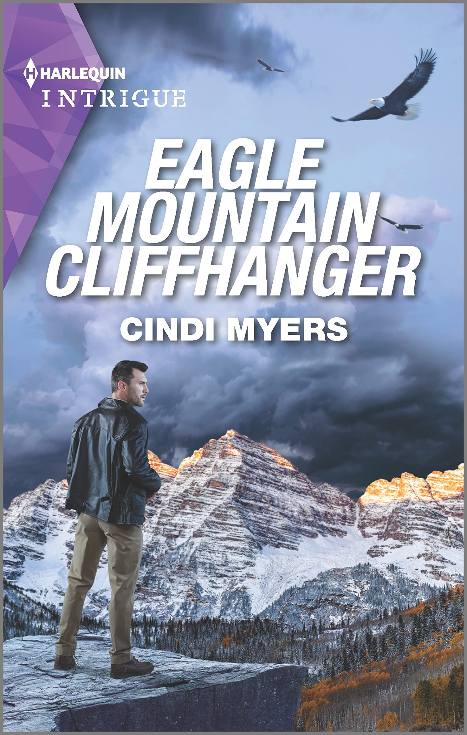 Eagle Mountain Search and Rescue book cover 1